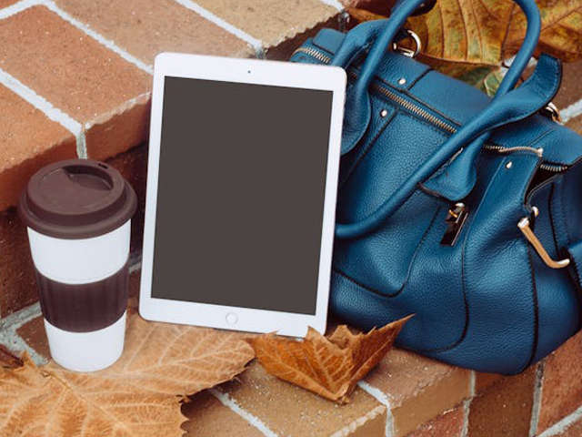 The iPad Paradigm: A Comprehensive Analysis of Digital Integration in Modern Education