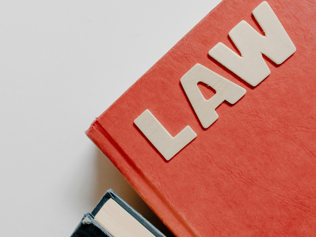 How Law School Services Support Future Legal Professionals