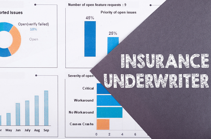 Insurance Underwriters - What do Insurance Underwriters do?