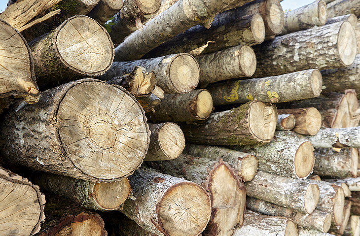 Logging Workers