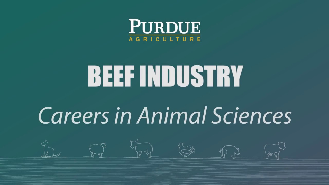 CANADA'S NATIONAL HISTORY SOCIETY