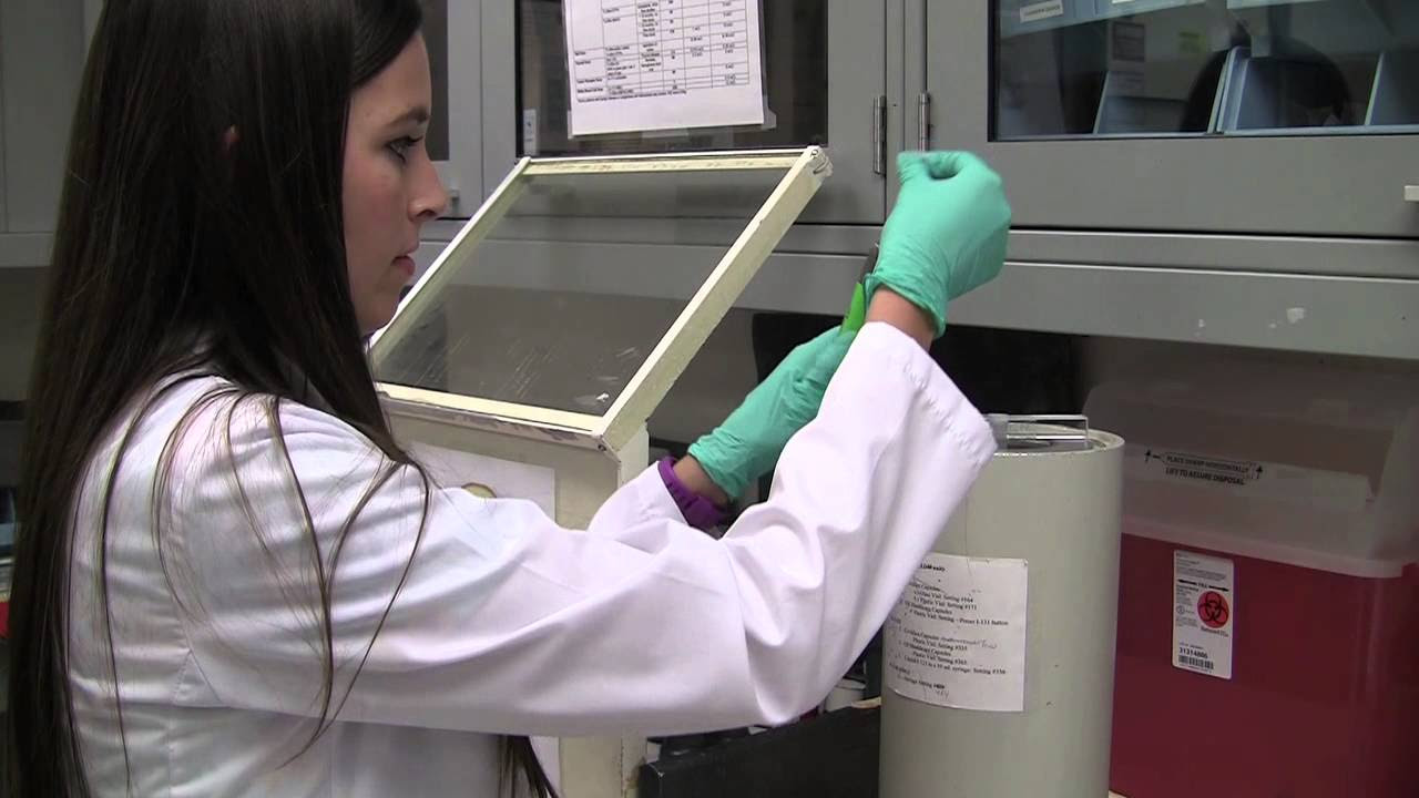 Video: Everything You Need to Know : Nuclear Medicine Technologist